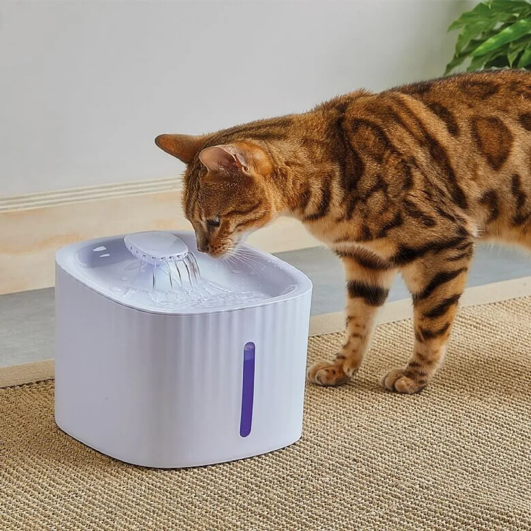 نافورة ماء الشرب للحيوانات الاليفة بسعة 3 لتر